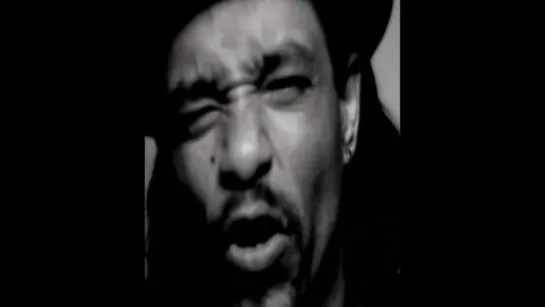 Ice-T - I Must Stand