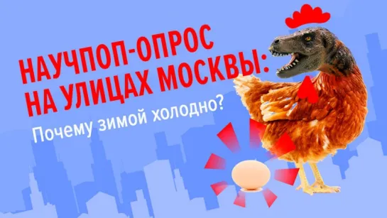 Научпоп-опрос на улицах Москвы 3