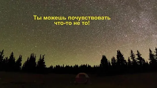 Если Ваша собака на вас лает, значит кто-то подкармливает её на стороне. И речь не о собаке. Путь к прозрению