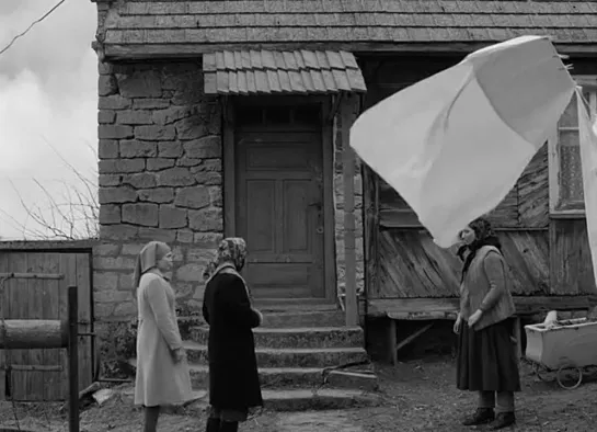 Ida (2014)