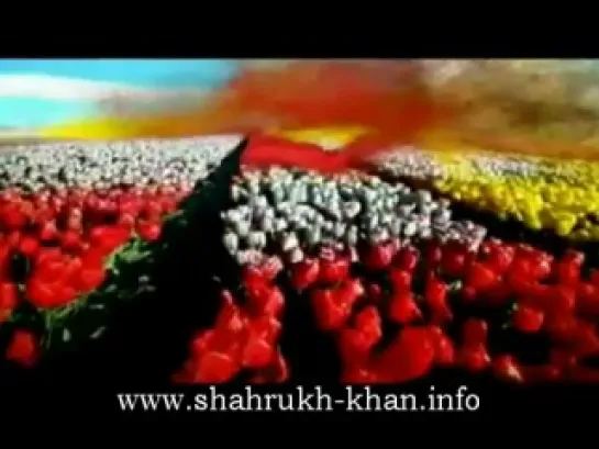 Shah Rukh Khan - Videocon colourful add.mp4