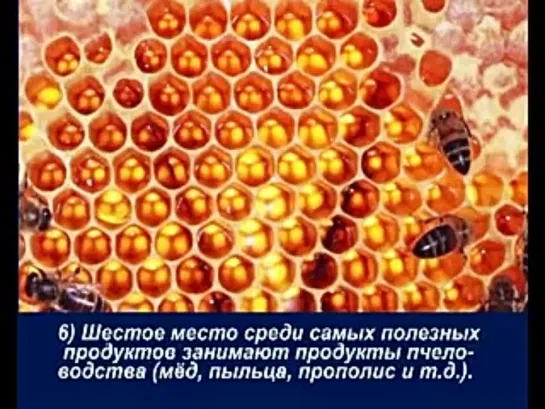 Самые полезные продукты для человека