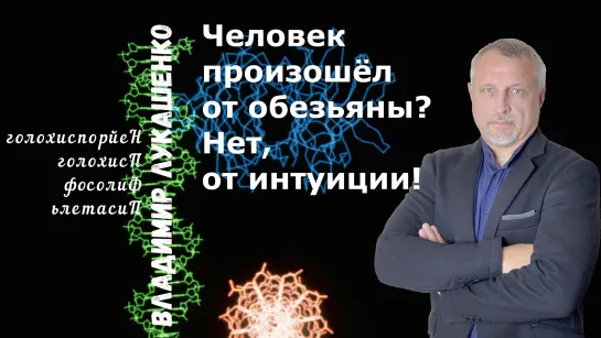 Человек произошёл от обезьяны? Нет, от интуиции!