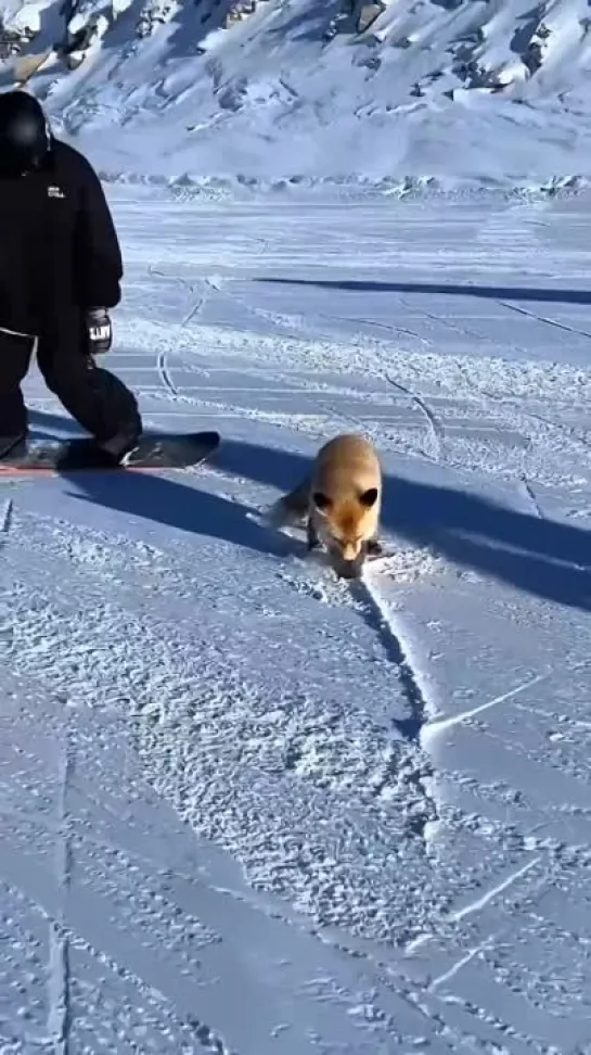 Видео от Мир Идей