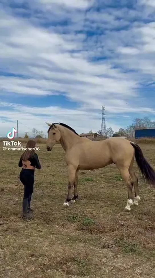 Видео от СОВА СКАЗАЛА