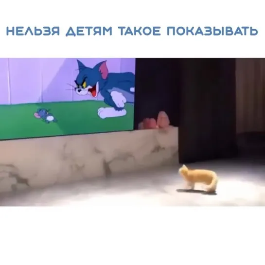 Кототриллер