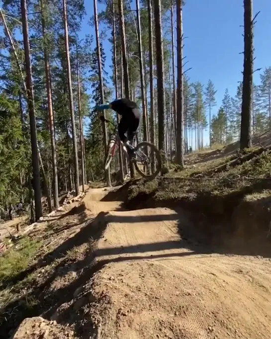 🚴🏼‍♂️ 🌲