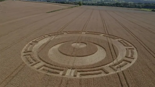 Crop Circle - Etchilhampton Hill, Devizes Reported 20_08_19