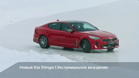 Новый Kia Stinger | Экстремальный тест-драйв