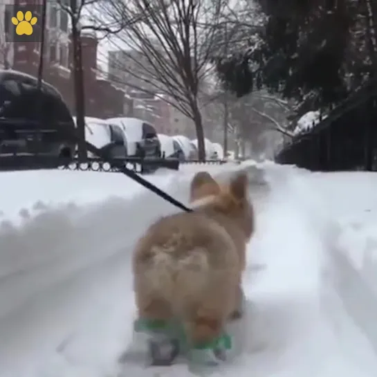 Классные зимние мальчики