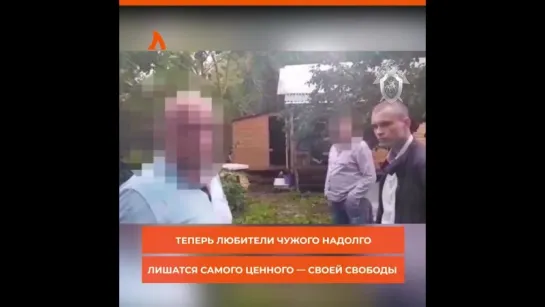 ВИДЕО СЛУХИ 1