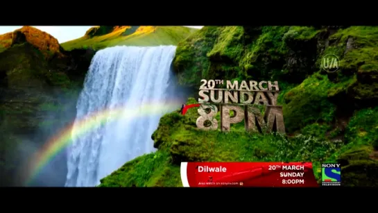 Dilwale on 20th March @ 8pm