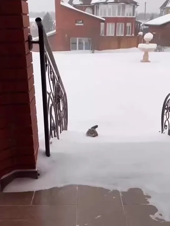 так себе весна, если честно