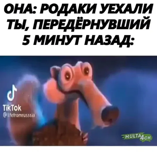 МУЛЬТАЧ (79)