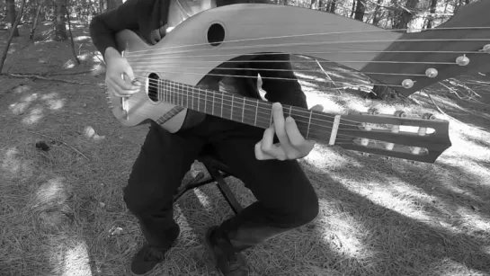 The Sound of Silence - 18 String Harp Guitar