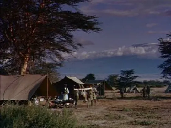 Снега Килиманджаро / The Snows of Kilimanjaro (1952)