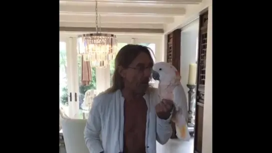 Iggy Pop sings Surfin Bird