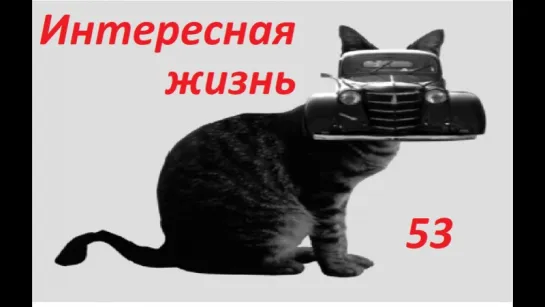 Интересная жизнь 53