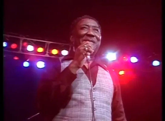 Muddy Waters - Mannish Boy (Live At Rockpalast 1978)