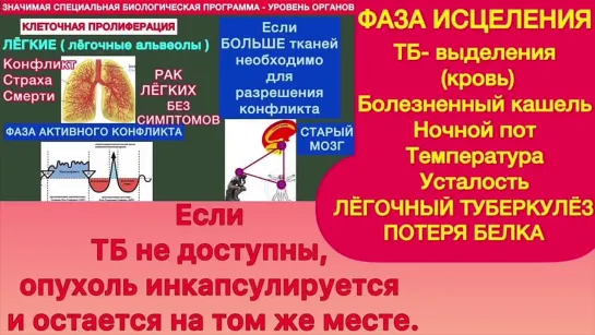 МОГУТ ЛИ БОЛЕЗНИ БЫТЬ ЗАРАЗНЫМИ? ПРАВДА ОБ ИНФЕКЦИОННЫХ ЗАБОЛЕВАНИЯХ