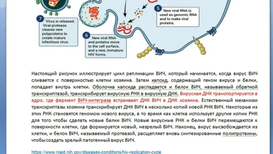 Видео от Наса Цветковы