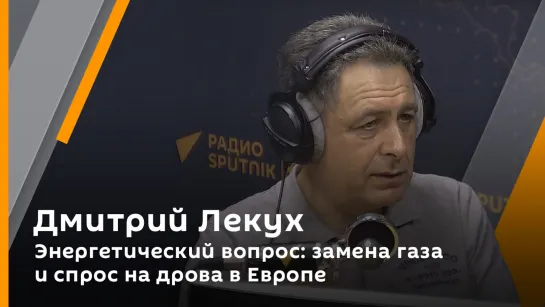 Дмитрий Лекух. Энергетический вопрос: замена газа и спрос на дрова в Европе