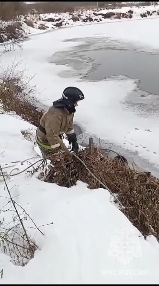 Видео от Николая Коняшкина