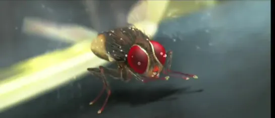 Eega Movie Trailer