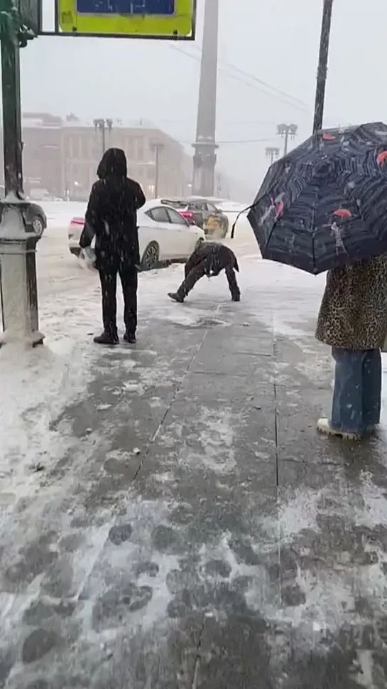 В Питере сегодня ветрено