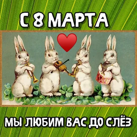 Заячий Стон - С 8 Марта ( мы любим вас до слёз)