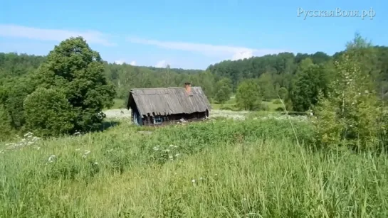 Грозы , Волки , Ухтынгирь ( поход в Костромскую глухомань - часть 3 - заключительная ) ...