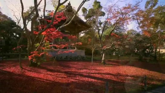 Kyoto Japan - Hyper Motion ｜ Glidecam HD4000