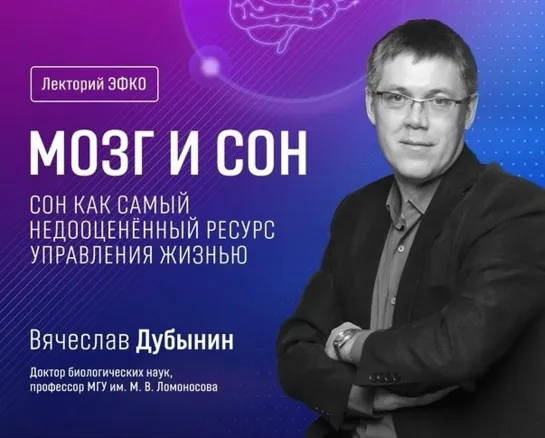 Профессор Вячеслав Альбертович Дубынин - Мозг и сон