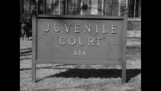 Juvenile Court (1973) dir. Frederick Wiseman