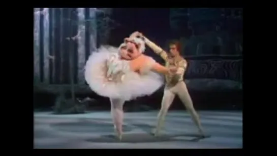 Rudolf Nuriev and Miss Piggy in "Muppet show"