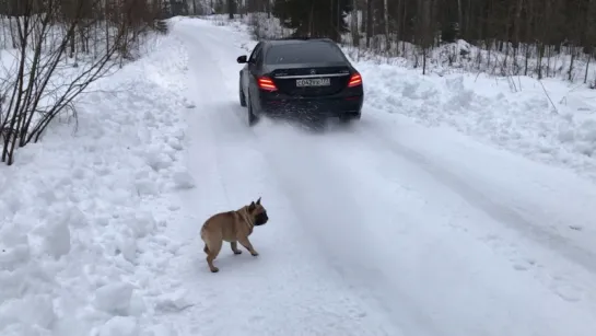 Видео от Виталия Петрова