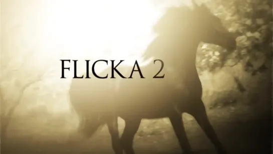 FLICKA 2 TRAILER