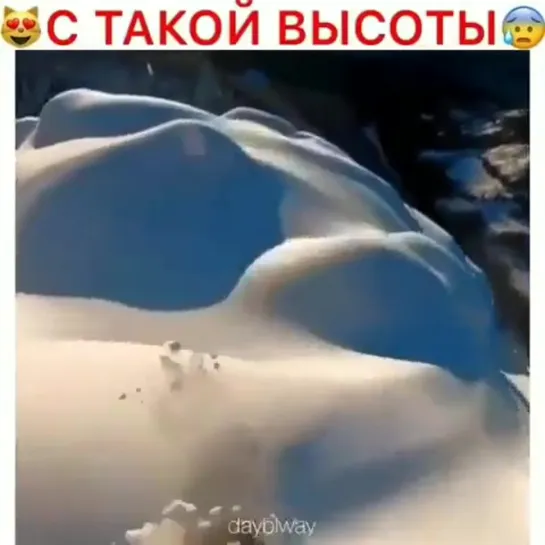 Крутой видосик