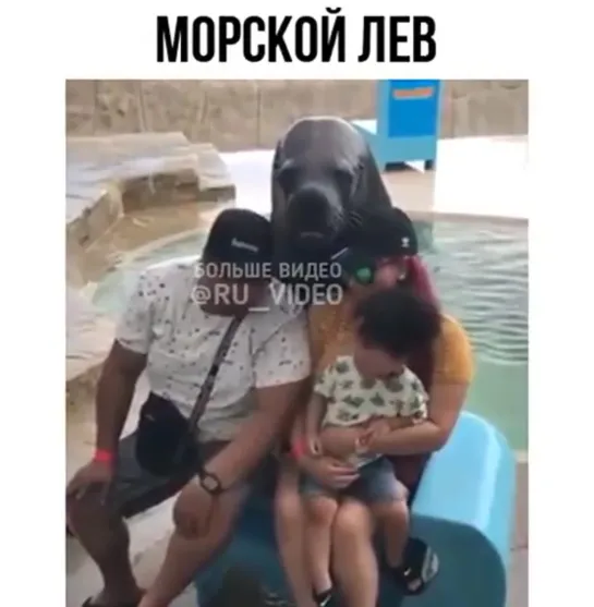 Воспитанный мальчик