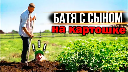 Батя с сыном на картошке