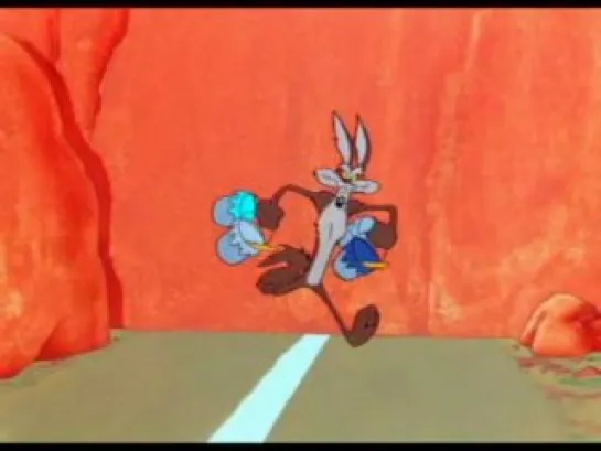 Wile E. Coyote and Road runner