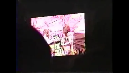 Red Hot Chili Peppers - V Festival 2001 (Chelmsford)