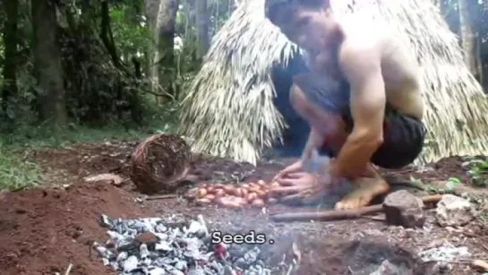 Making poisonous Black bean safe to eat (Moreton Bay Chestnut)