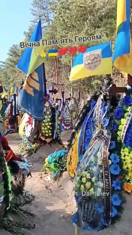 Лесное кладбище Киева. "Вернувшиеся" с Запорожского направления и Авдеевки боевики украинских формирований.