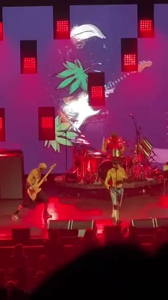 Видео от Red Hot Chili Peppers Live