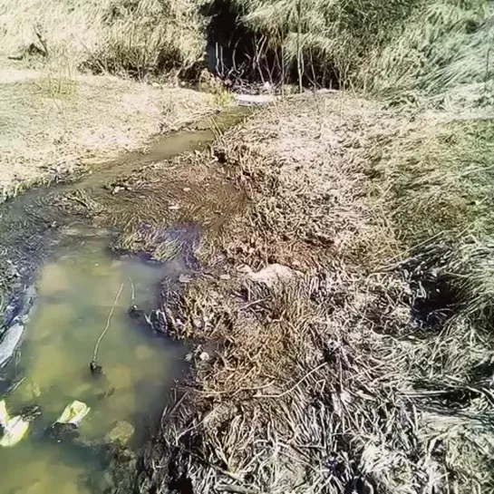 Видео от Издательство Вольный Странник