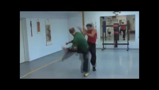 Meihua Wing Tsun