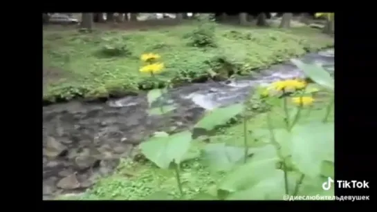 Видео от Андрея Самохвалова