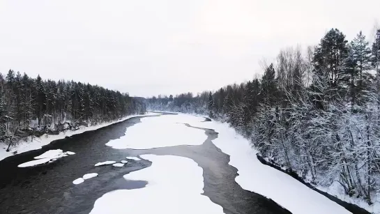 Боровичский район