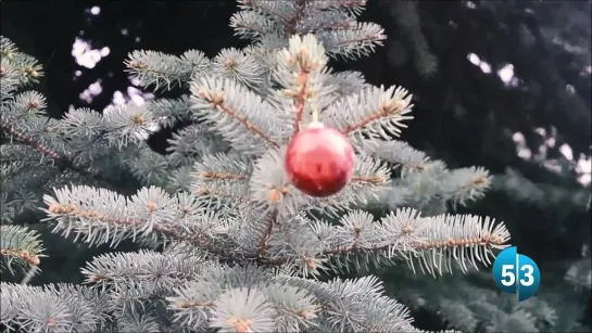 Майский снегопад